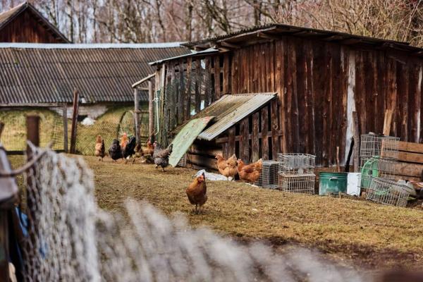 polacy-na-kresach-120