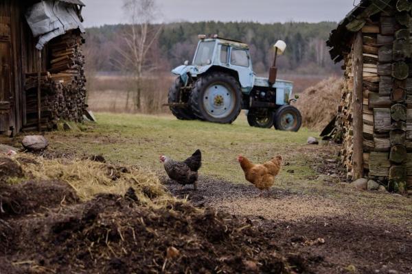 polacy-na-kresach-250